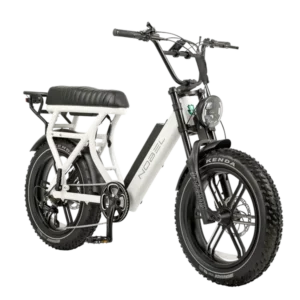 De GTS Nobel doorstap frame